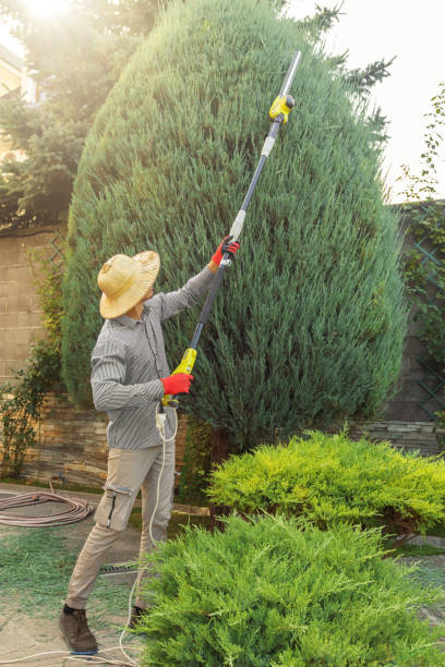 Best Sod Installation  in Rockville, IN